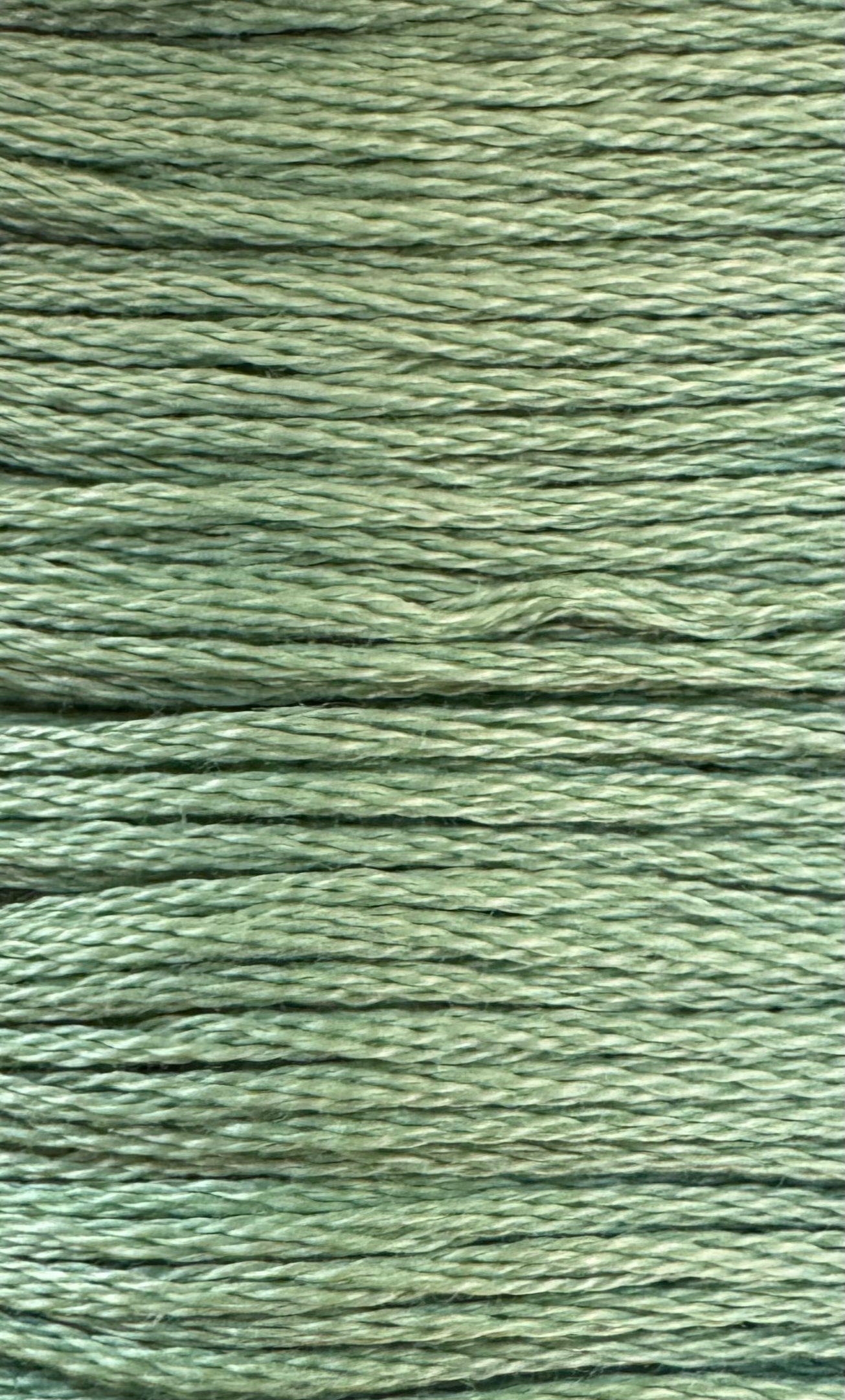 DMC - 368