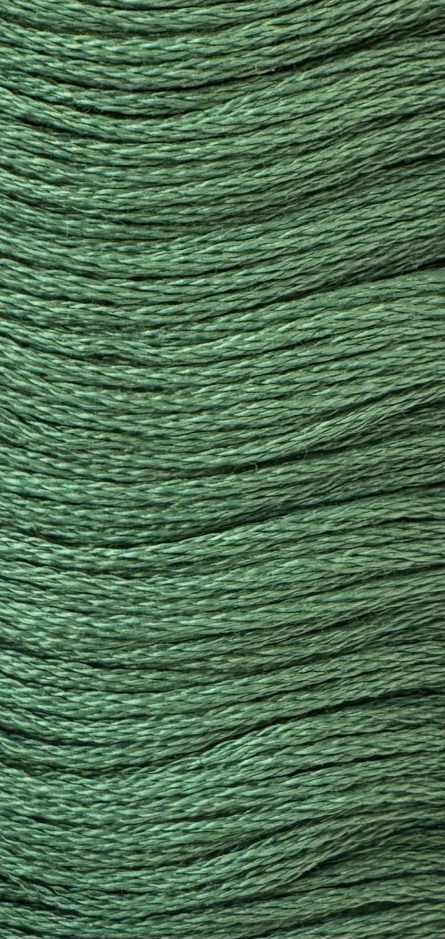 DMC - 367