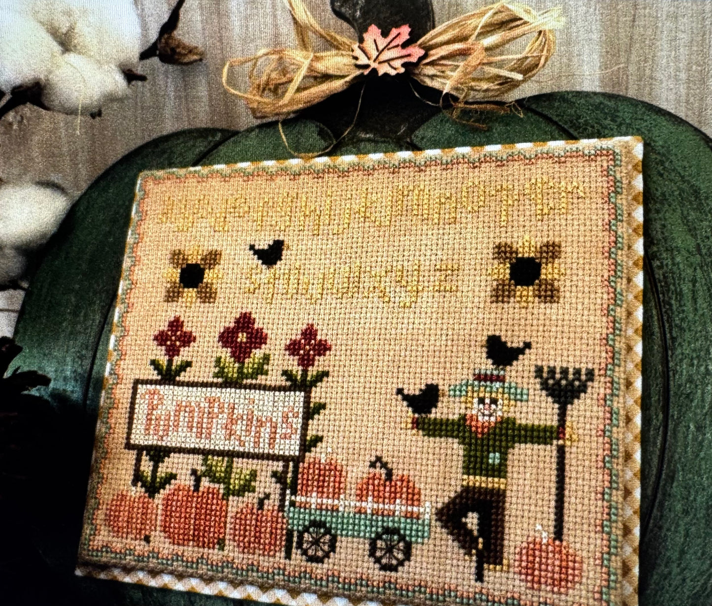 Pumpkin Patch