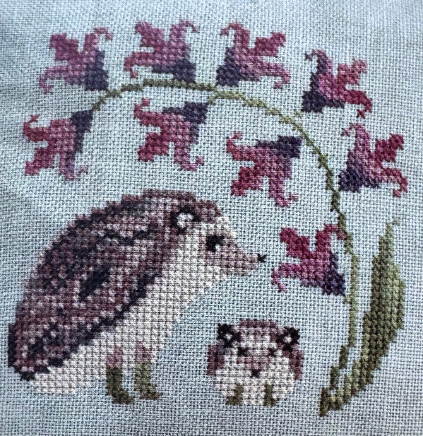 Hedgehog & Hyacinth