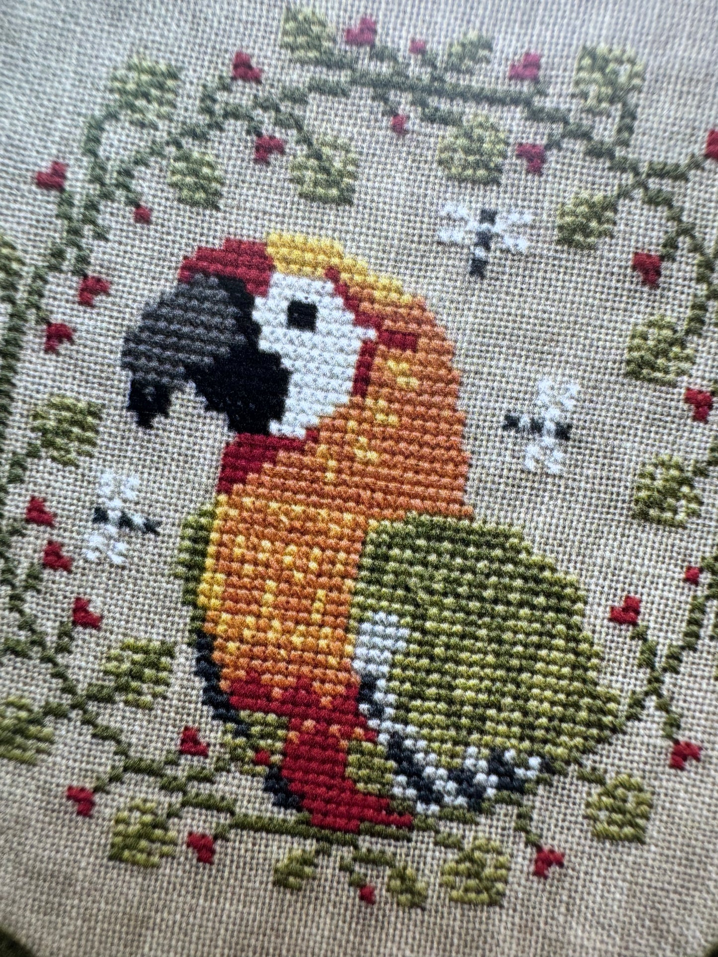 Tropical Birds Trio 2025; PuntiniPuntini