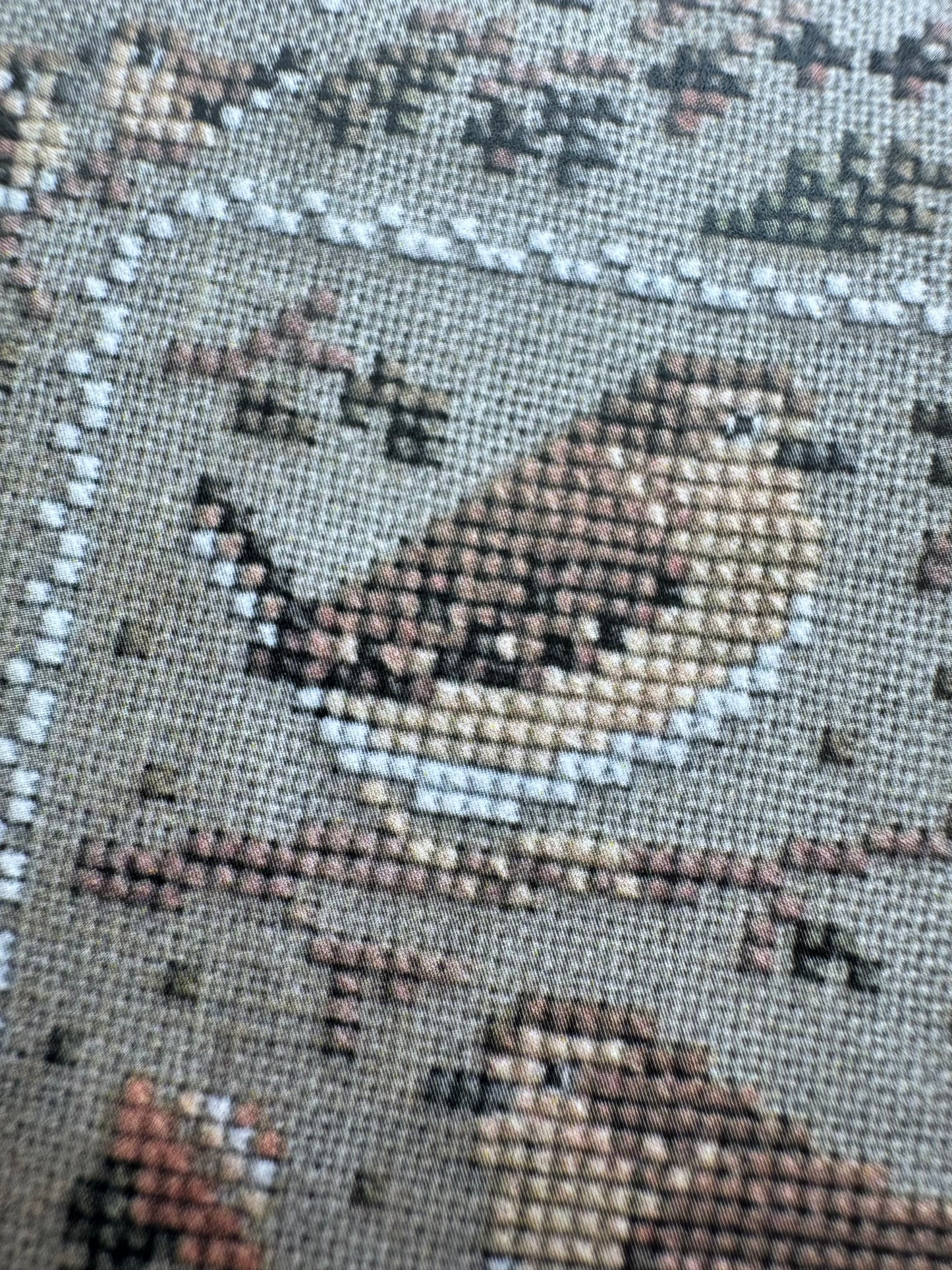 Wrens in the Fall; Stitchy Princess