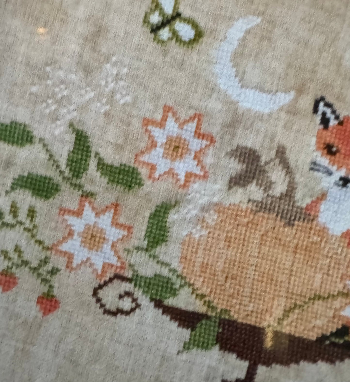 The Fox and the Magic of Autumn; The Snowflower Diaries