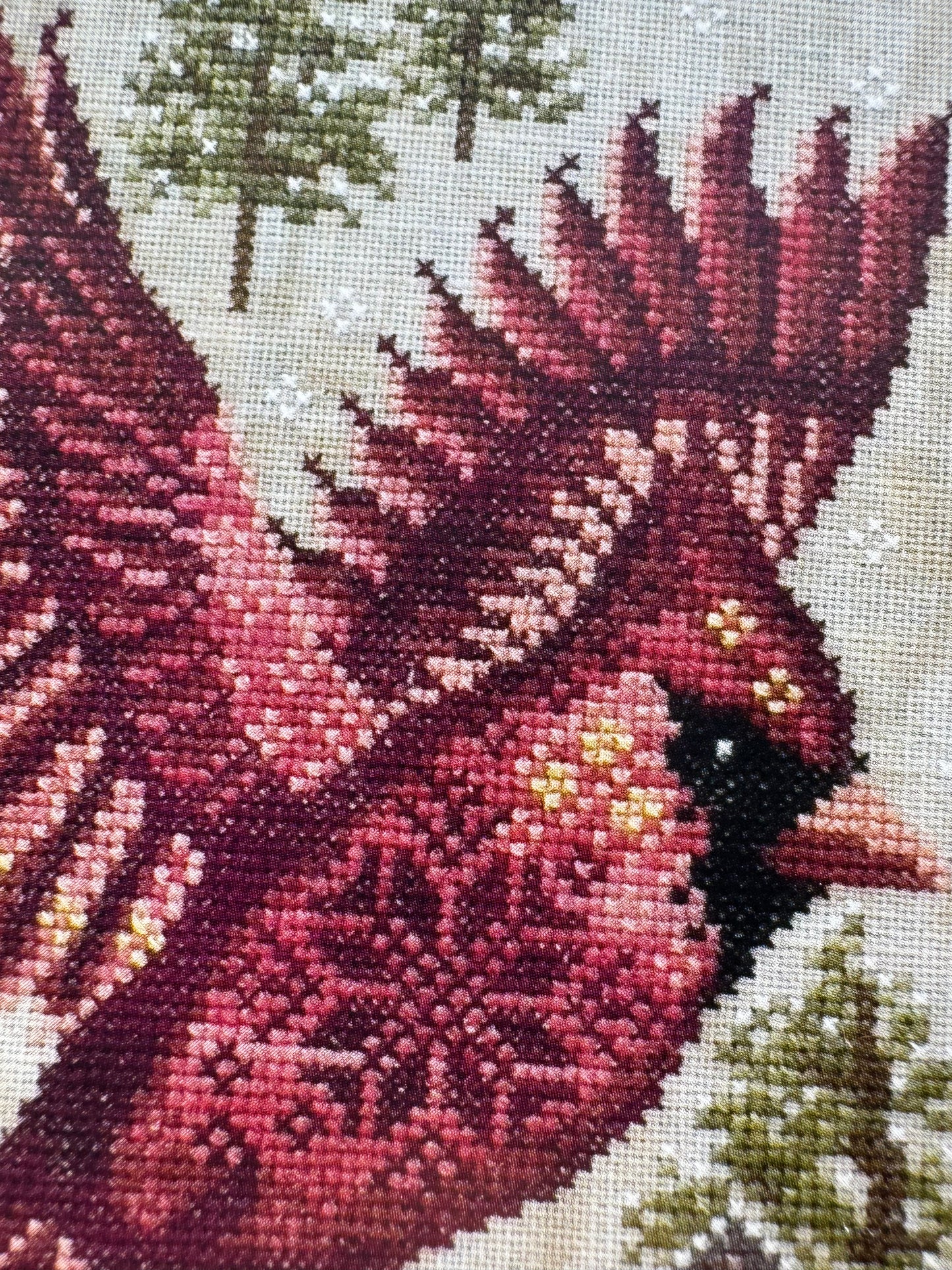 The Northern Cardinal; Cottage Garden Samplings