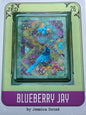 Blueberry Jay; JEDxStitch