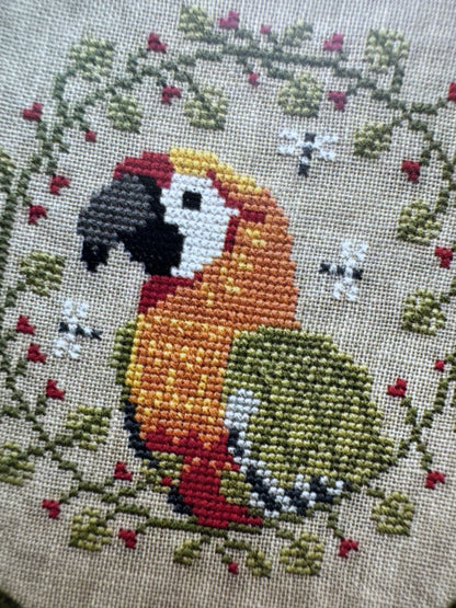 Tropical Birds Trio 2025; PuntiniPuntini
