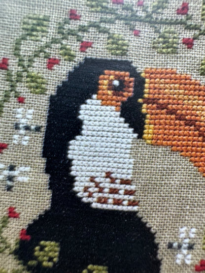 Tropical Birds Trio 2025; PuntiniPuntini