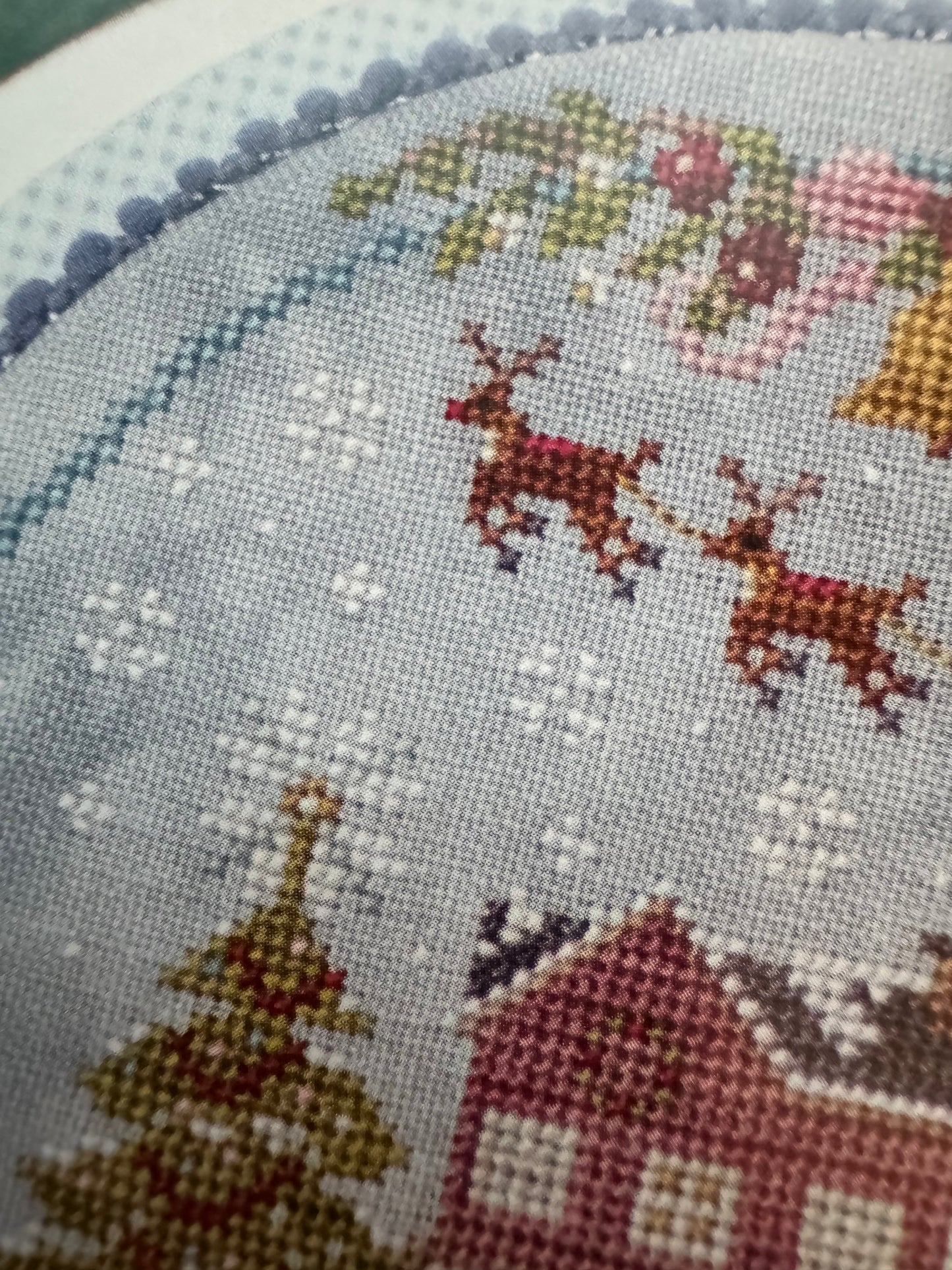 Winter Joy; Cherry Blossoms
