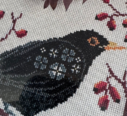 Blackbird at Dawn