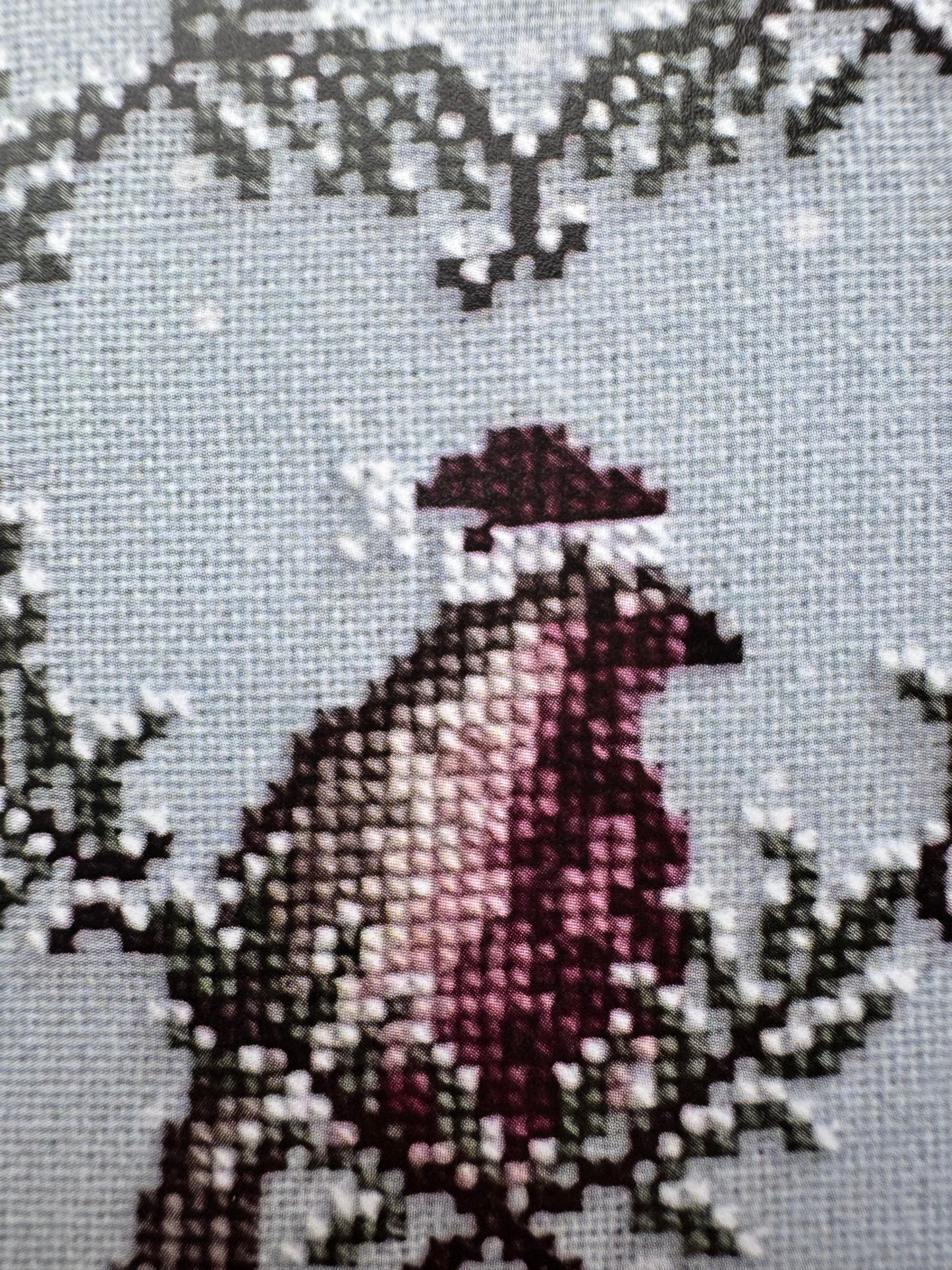 Winter Robin; Dirty Annie's