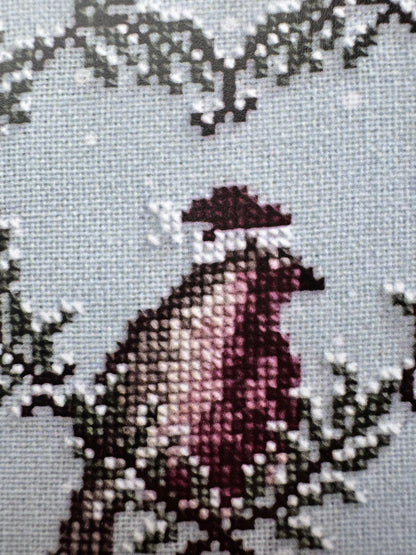 Winter Robin; Dirty Annie's