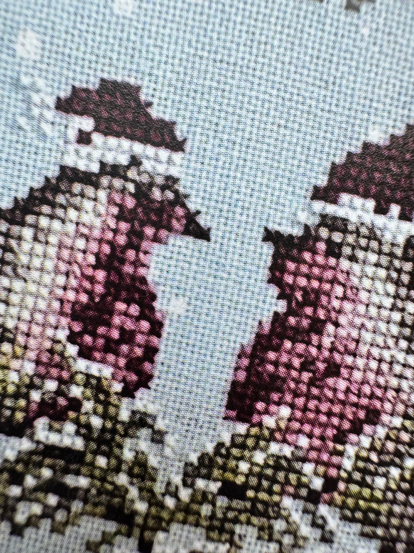 Winter Robin; Dirty Annie's