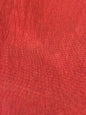 Penelope; Red Thicket