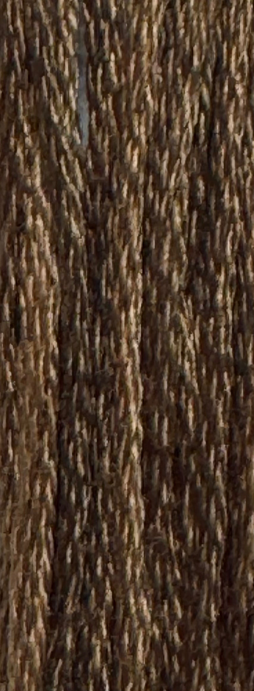 Weeks Dye Works; Havana