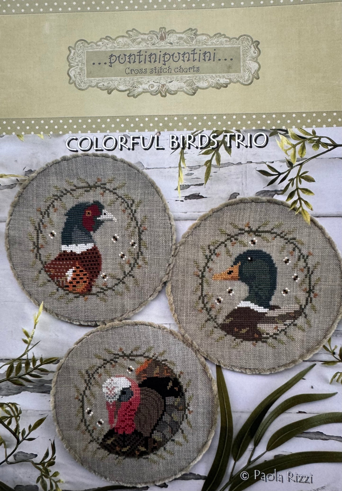 Colorful Birds Trio; PuntiniPuntini