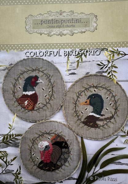 Colorful Birds Trio; PuntiniPuntini