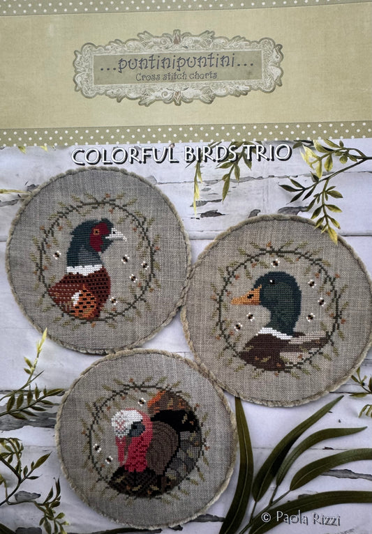 Colorful Birds Trio; PuntiniPuntini
