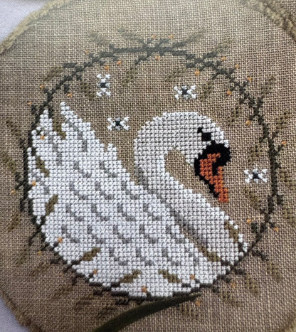 Elegant Birds Trio; PuntiniPuntini