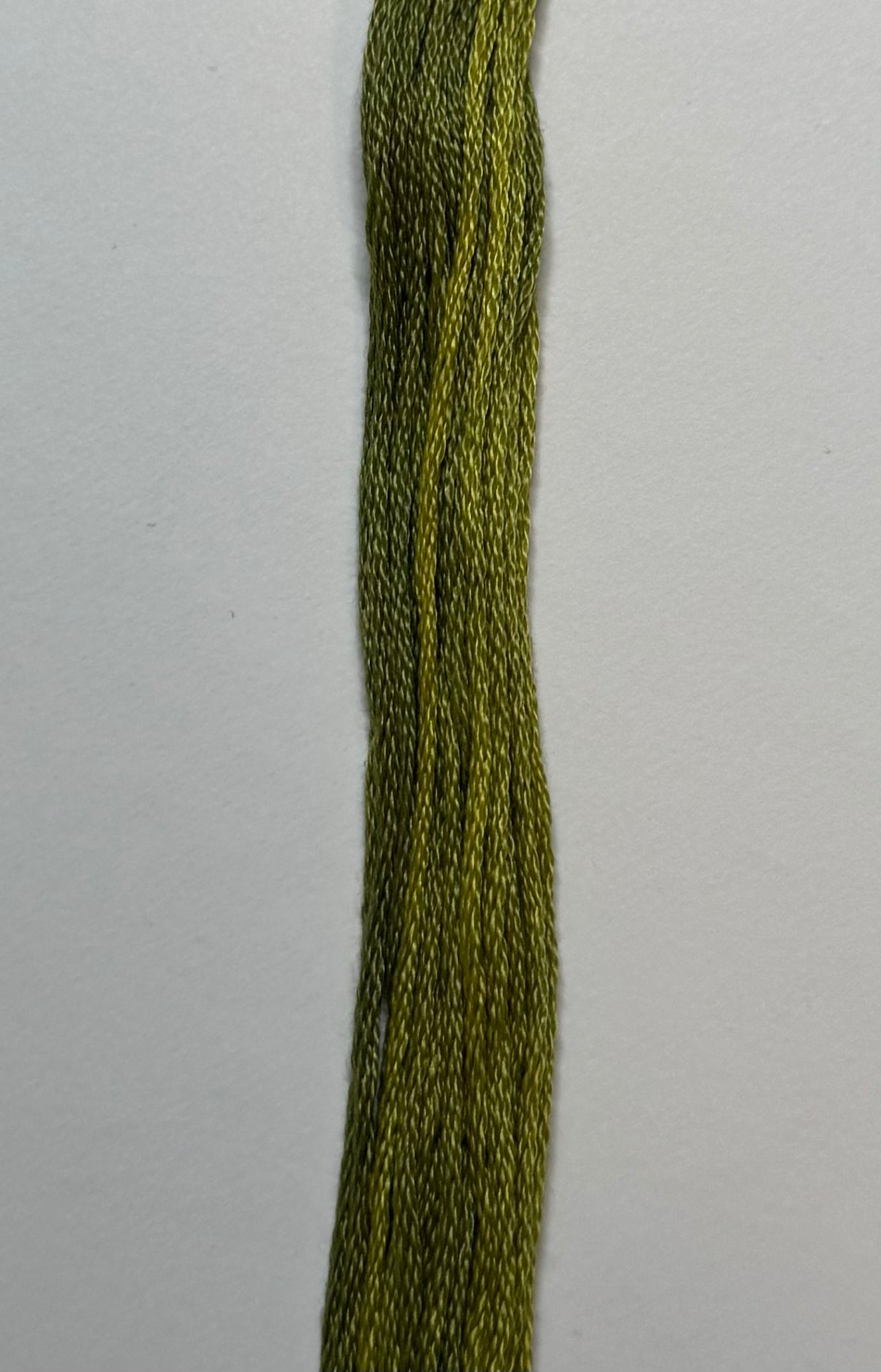 Bean Sprout - Classic Colorworks