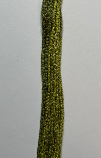 Bean Sprout - Classic Colorworks