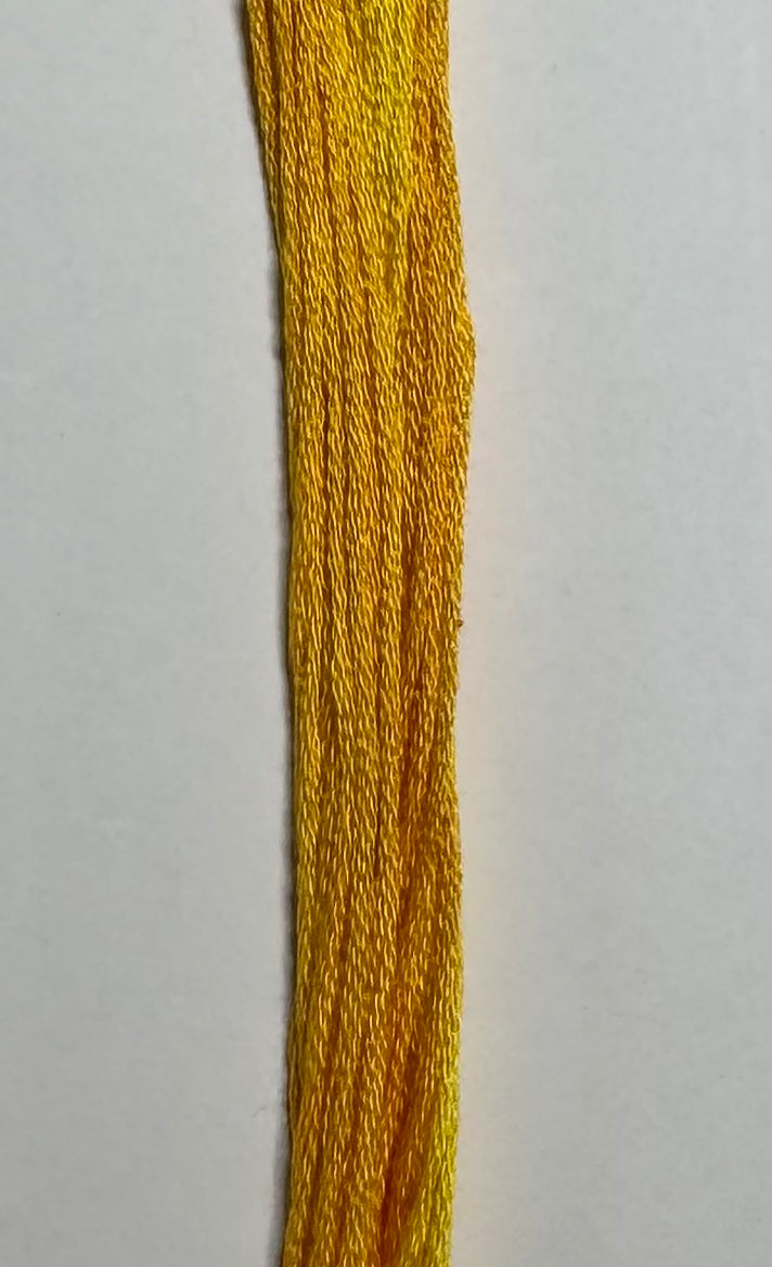 Golden Star - Classic Colorworks