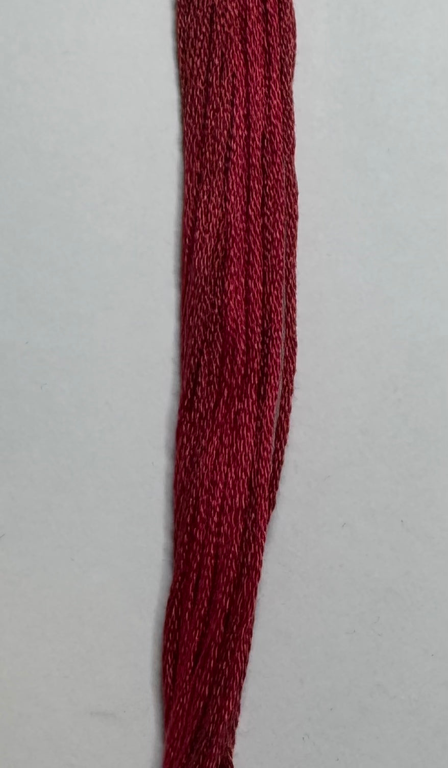 Holly Berry - Classic Colorworks