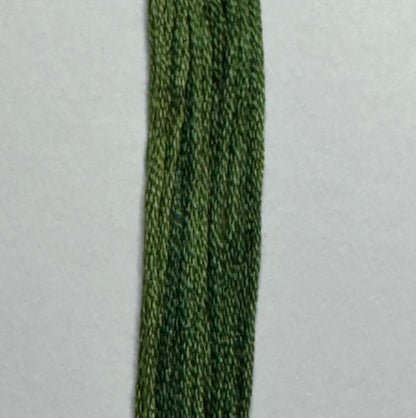 Steamed Broccoli - Classic Colorworks