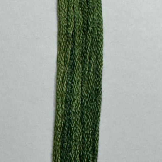 Steamed Broccoli - Classic Colorworks