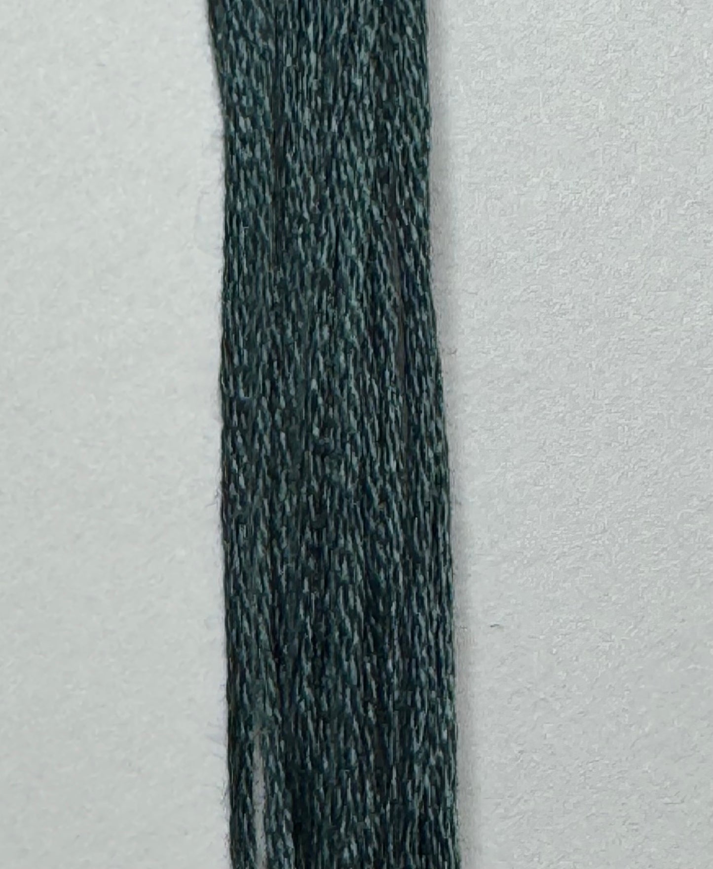 Weeks Dye Works; Holly