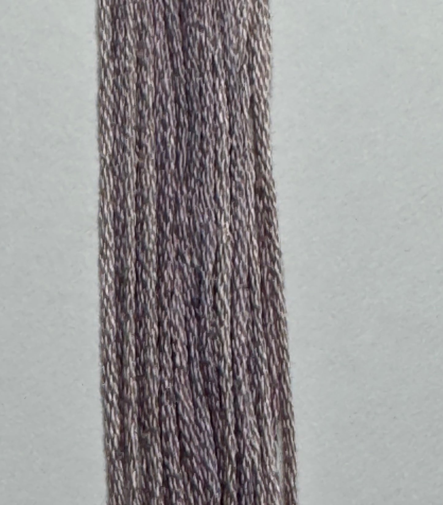 Weeks Dye Works; Oyster