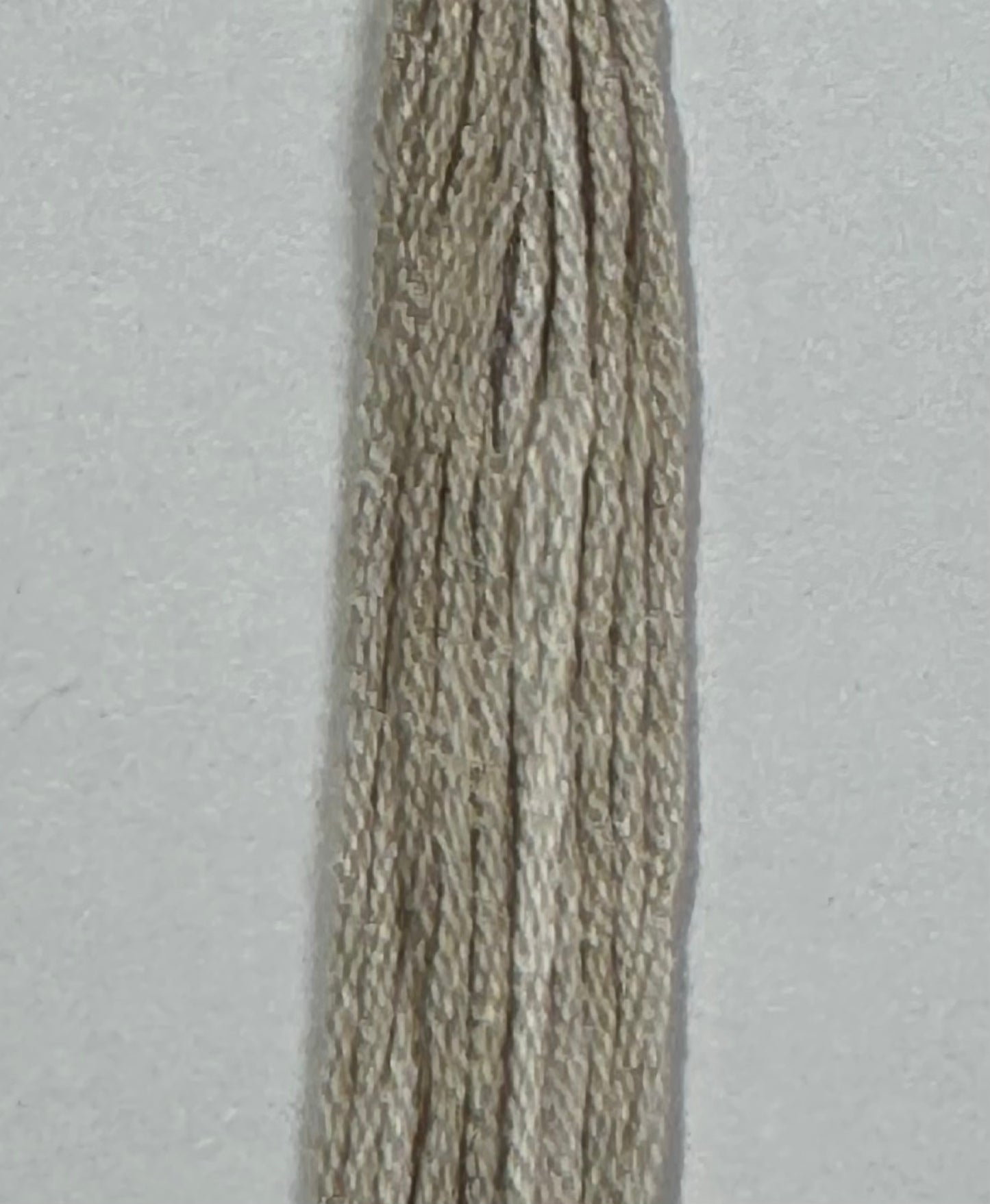 Bunny Honey - Classic Colorworks