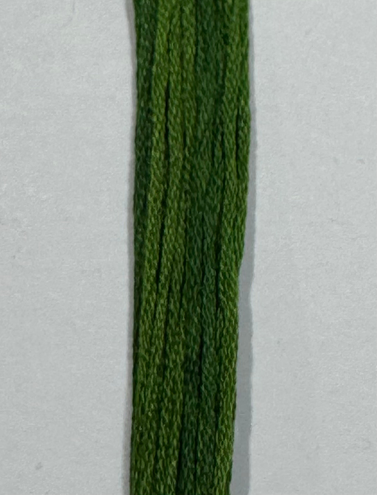 Grasshopper - Classic Colorworks
