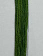 Grasshopper - Classic Colorworks