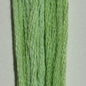 Frozen Margarita - Classic Colorworks