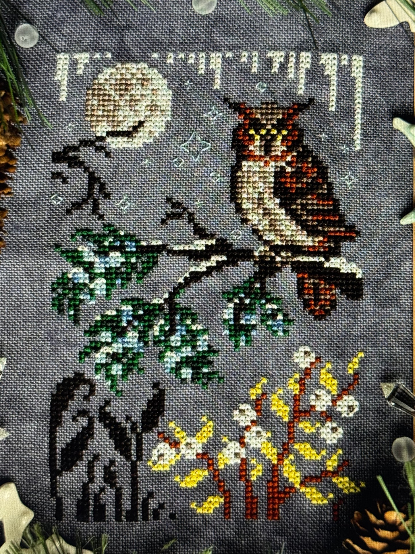 Winter Moon Nature Walk