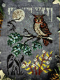 Winter Moon Nature Walk
