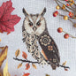 Long Eared Owl